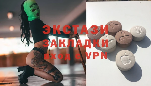 ECSTASY Няндома