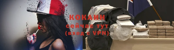 apvp Новозыбков