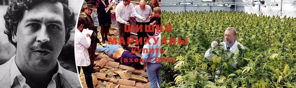 MESCALINE Новокубанск