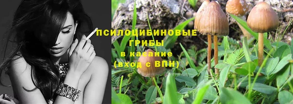 ECSTASY Няндома