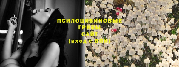 сатива Нягань