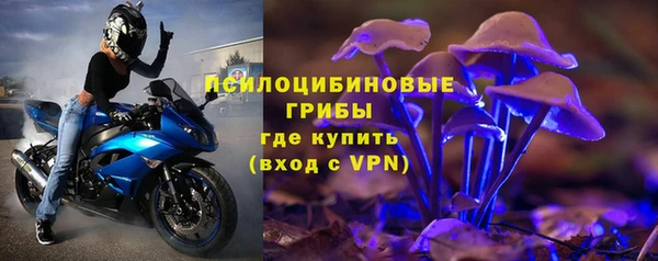 сатива Нягань