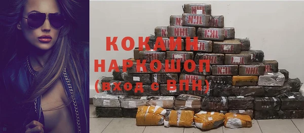 сатива Нягань