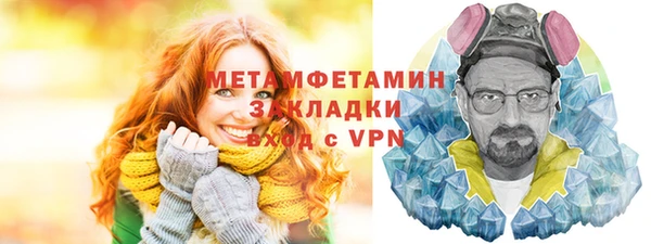 гидра Бутурлиновка