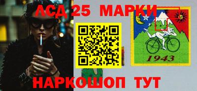 шишки Кандалакша