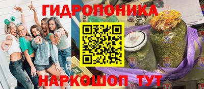 дживик Бийск