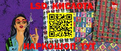 шишки Кандалакша