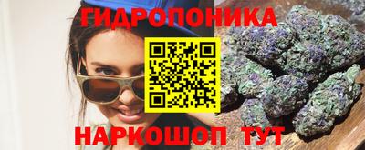 шишки Кандалакша