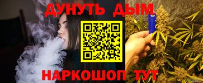 шишки Кандалакша