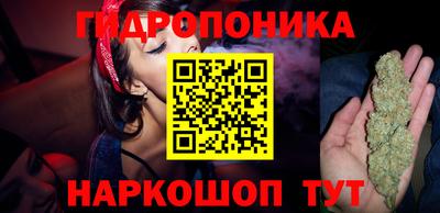 хмурый Берёзовский