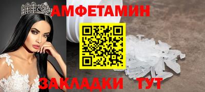 шишки Кандалакша
