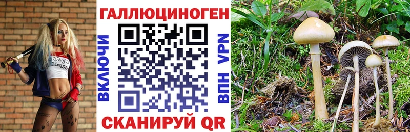 Галлюциногенные грибы Magic Shrooms  дарнет шоп  мега рабочий сайт  Ярцево 